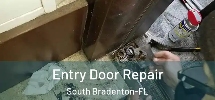 Entry Door Repair South Bradenton-FL