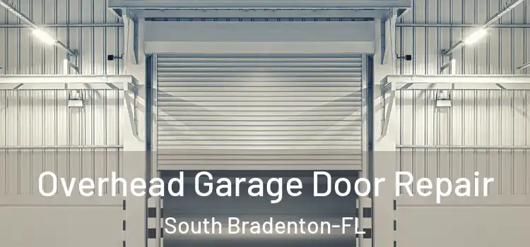 Overhead Garage Door Repair South Bradenton-FL