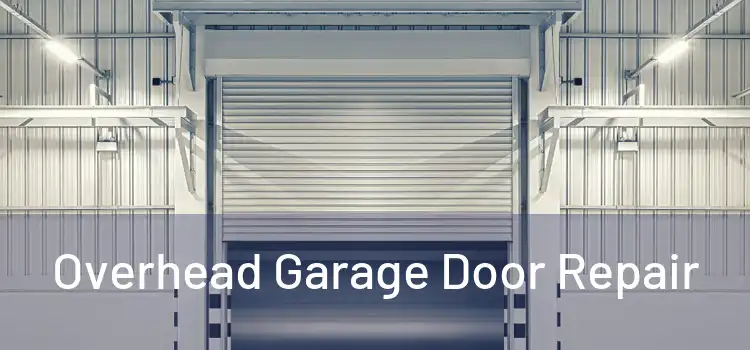  Overhead Garage Door Repair 