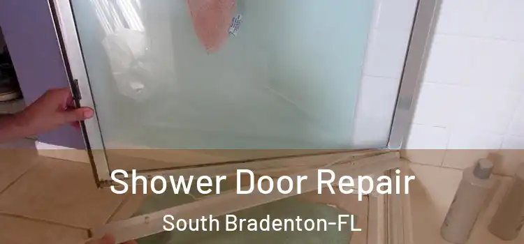 Shower Door Repair South Bradenton-FL